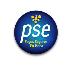 PAGOS EN LINEA